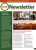 tumbnail of VCSP newsletter